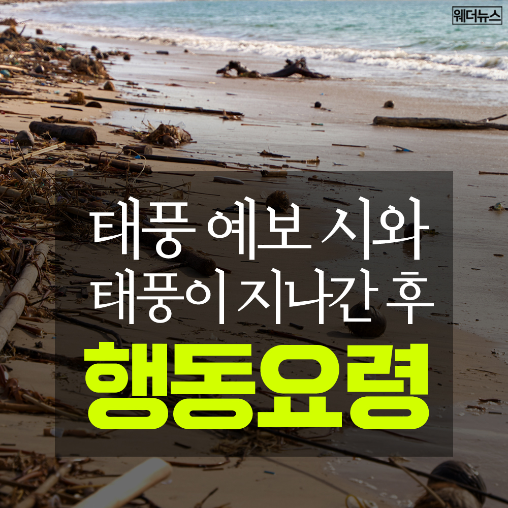 What to do when a typhoon is forecast and after it passes