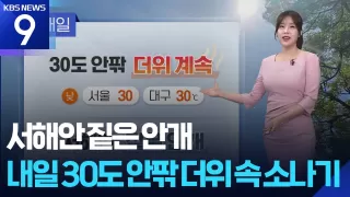 [날씨] 서해안 짙은 안개…내일(8일) 30도 안팎 더위 속 소나기 / KBS 
