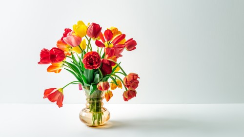 예쁜 생화 오래 보관하는 방법