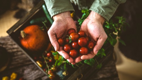 Why a fiber-rich diet could help reduce PFAS levels in the body
