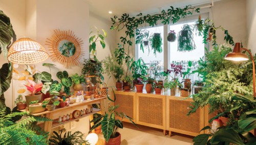 ‘13년 차 식집사’의 Green House