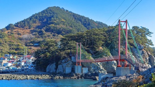 사람 없고, 경치는 최고... 바다 절벽 걷는 출렁다리 명소 2곳