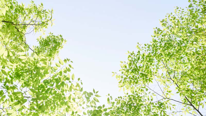 [주말 날씨] 봄의 끝자락, 초여름의 문턱… 큰 일교차 유의!