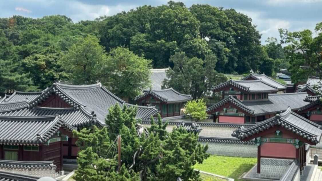 초여름 풍경이 내려앉은 곳, 창덕궁을 걷는 시간