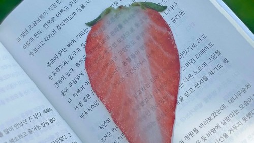 텍스트 힙의 완성! 사실 독서는 아이템빨