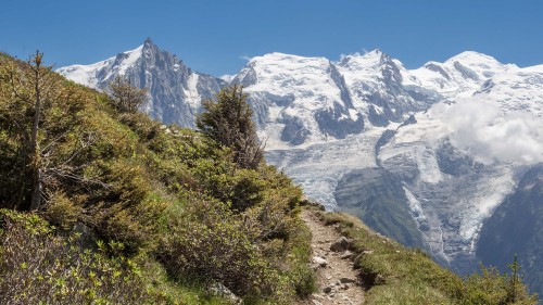 Climate action could save half of world's vanishing glaciers, says study