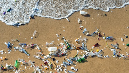 This new type of plastic can dissolve in seawater