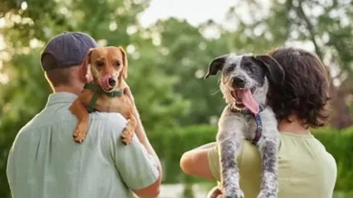 Do people really resemble their dogs?