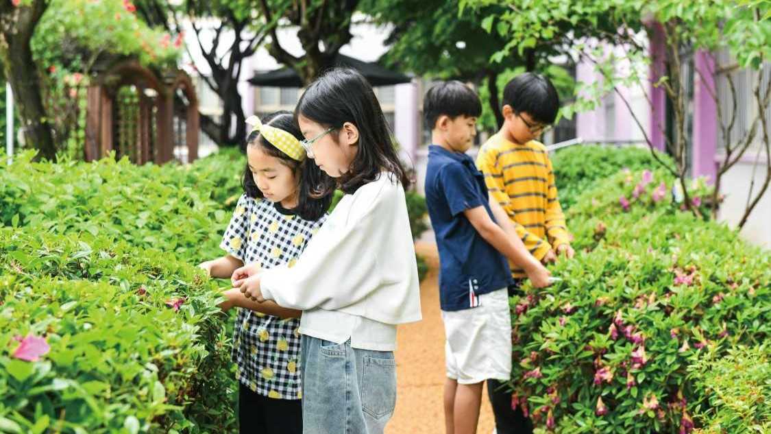 안녕 숲, 사랑합니다! 서울풍납초등학교 숲 체험 활동