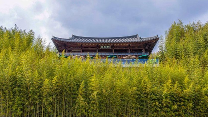 지구마불 세계여행 3 따라 담양 남도여행 코스 :: 죽녹원, 관방제림, 담빛예술창고, 메타프로방스