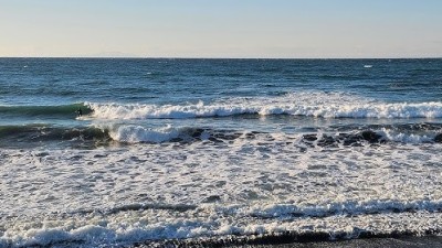 The world’s longest marine heat wave upended ocean life across the Pacific